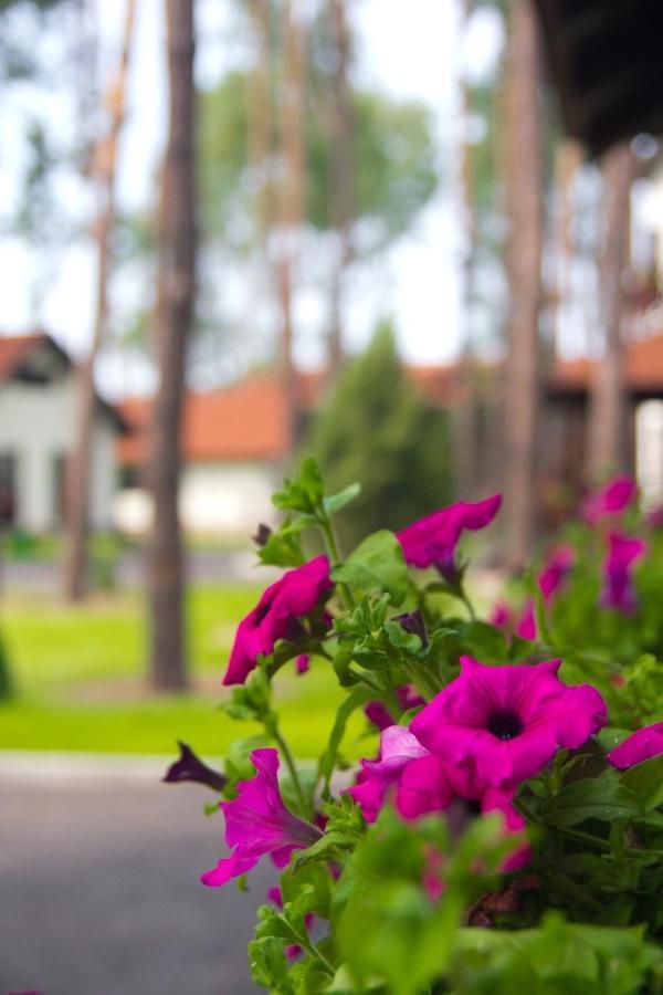 Park-Hotel Kidev Chubynske Bagian luar foto