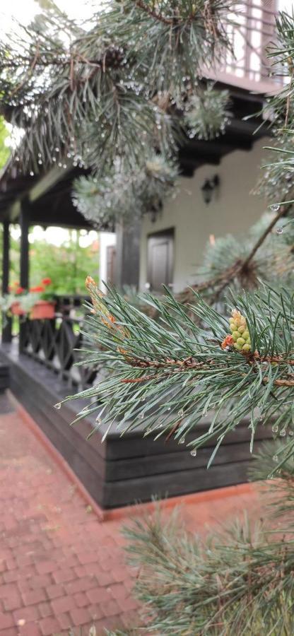 Park-Hotel Kidev Chubynske Bagian luar foto