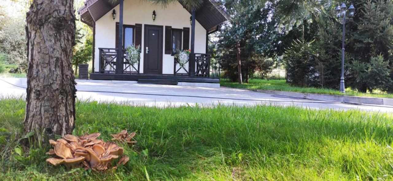 Park-Hotel Kidev Chubynske Bagian luar foto